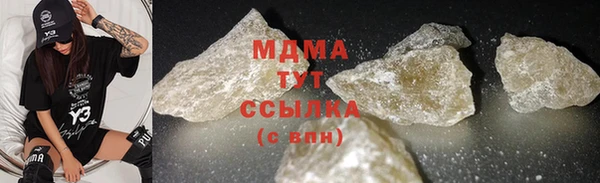 прущие грибы Михайловка