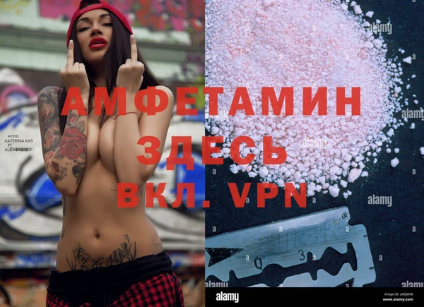 прущие грибы Михайловка