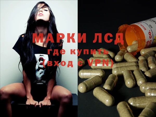 прущие грибы Михайловка