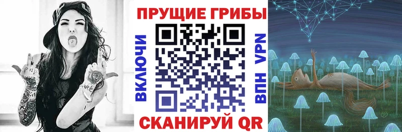 Галлюциногенные грибы мицелий  Киреевск 