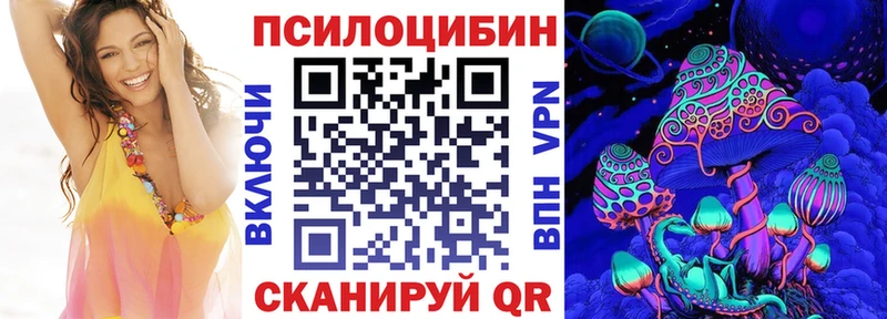 Псилоцибиновые грибы Psilocybe Киреевск