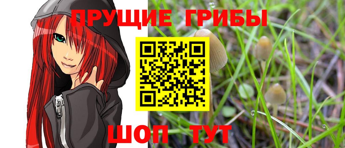 Галлюциногенные грибы MAGIC MUSHROOMS Киреевск